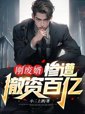 刚废婿,惨遭撤资百亿 刚废婿,惨遭撤资百亿