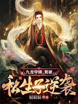 九龙夺嫡,竟被私生子逆袭 九龙夺嫡,竟被私生子逆袭