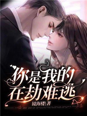 你是我的在劫难逃 你是我的在劫难逃