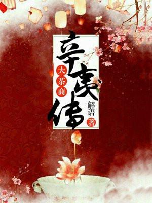 大茶商辛夷传 大茶商辛夷传