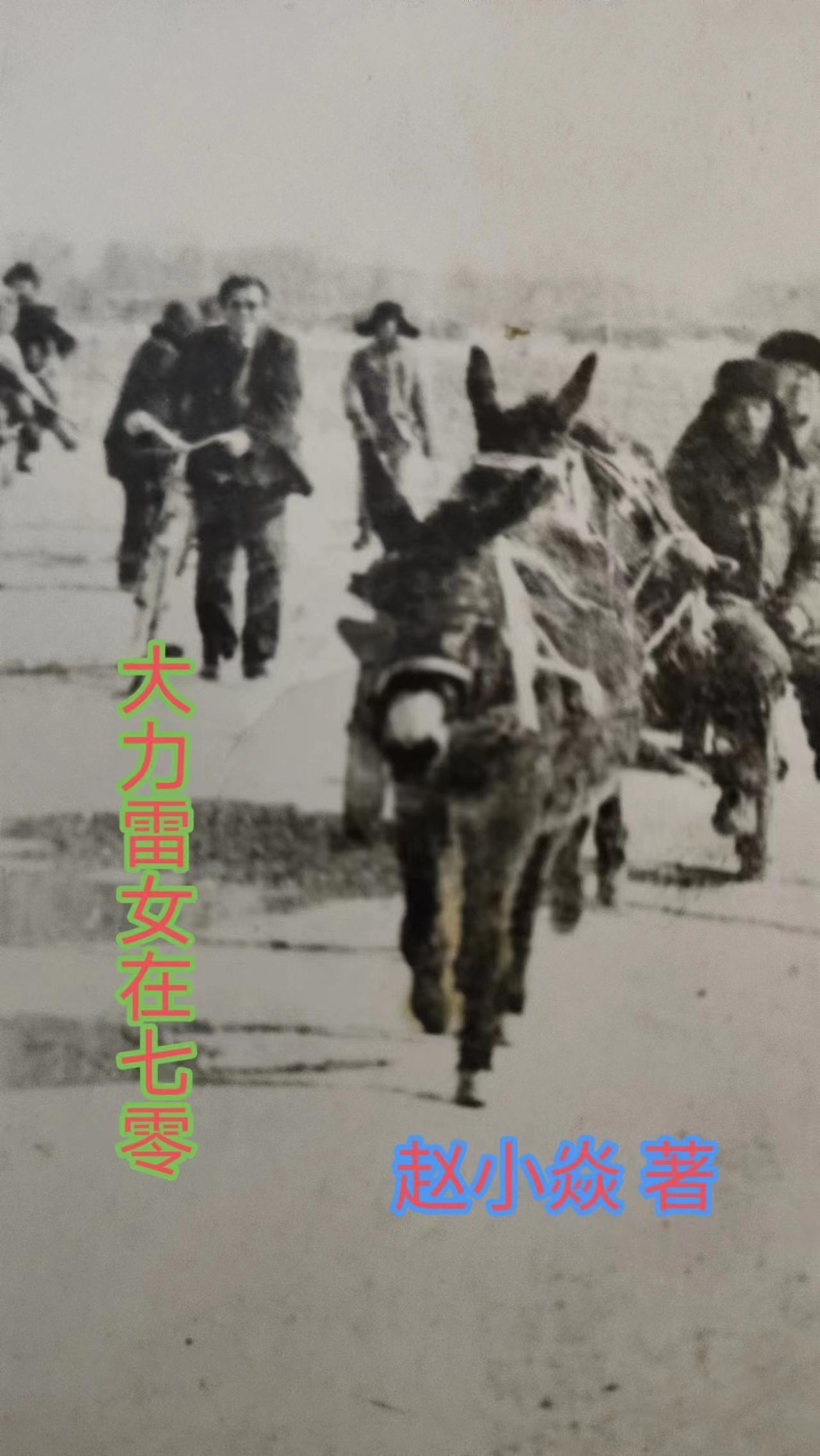 大力雷女在七零 大力雷女在七零