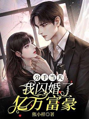 分手当天,我闪婚了亿万富豪 分手当天,我闪婚了亿万富豪