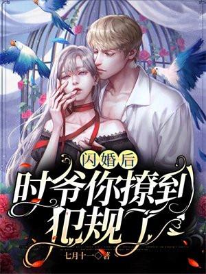 闪婚后,时爷你撩到犯规了 闪婚后,时爷你撩到犯规了