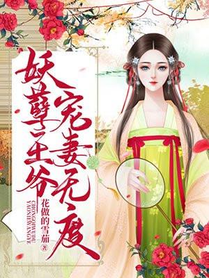 贼娘子完整版 贼娘子完整版