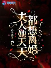 夫人她天天都想离婚 夫人她天天都想离婚