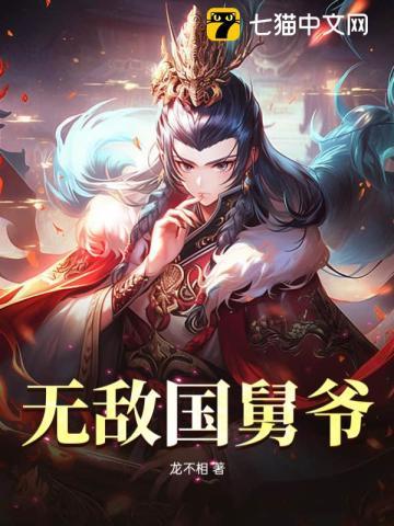 无敌国舅爷 无敌国舅爷