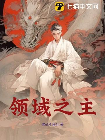 领域之主 领域之主