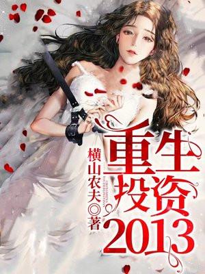 重生投资2013