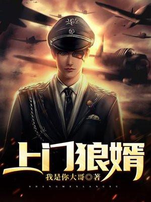 上门狼婿 上门狼婿