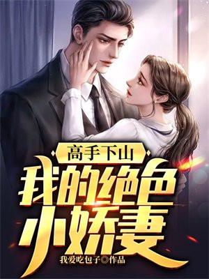 高手下山:我的绝色小娇妻 高手下山:我的绝色小娇妻