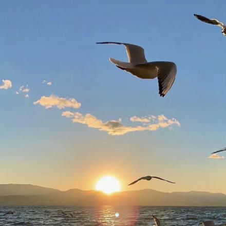 被腹黑凤傲天女主堵门 作者梦很轻 被腹黑凤傲天女主堵门 作者梦很轻