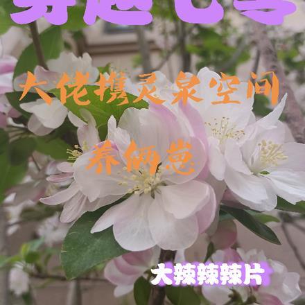 穿越七零,大佬携灵泉空间养俩崽 穿越七零,大佬携灵泉空间养俩崽