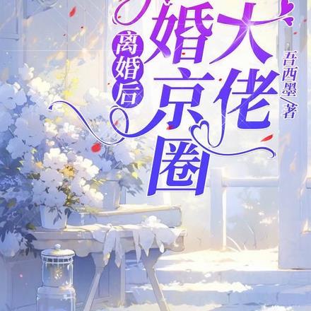离婚后,闪婚京圈大佬 离婚后,闪婚京圈大佬
