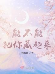 能不能把你藏起来 能不能把你藏起来