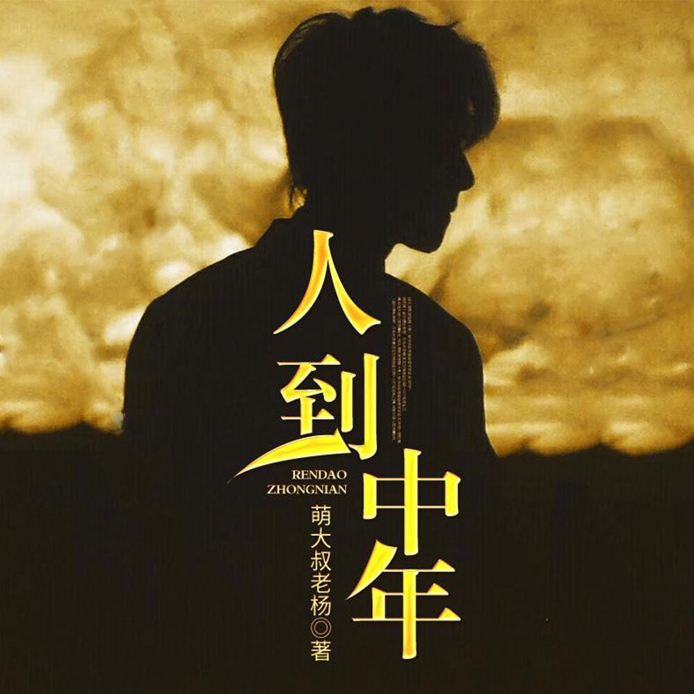 人到中年 人到中年