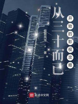 第四天灾玩家流全