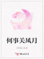 何事关风月