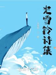 光雪铃诗集 光雪铃诗集