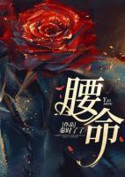 一品书生主角几个老婆 一品书生主角几个老婆