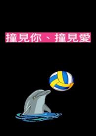 撞见你、撞见爱 撞见你、撞见爱