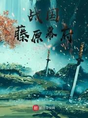 战国藤原幕府 战国藤原幕府