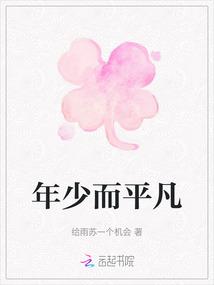 主角在白胡子海贼团
