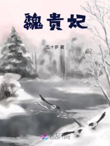 魏贵妃 魏贵妃