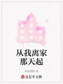 从我离家那天起