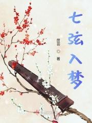 七弦入梦 七弦入梦