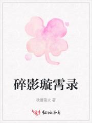 碎影璇霄录 碎影璇霄录