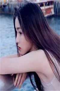 神奇宝贝之逍遥天下