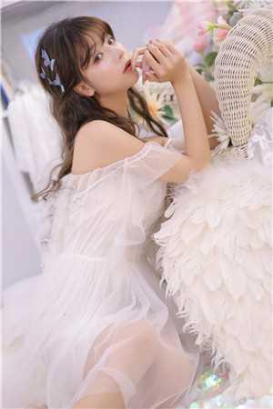 巡游全集小说 巡游全集小说