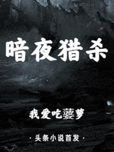暗夜猎杀 暗夜猎杀