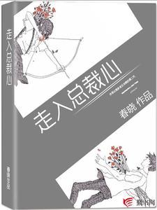 走入总裁心