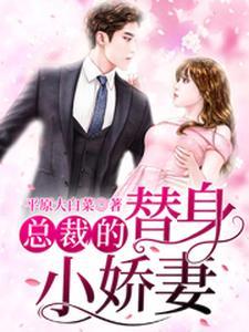 总裁的替身小娇妻 总裁的替身小娇妻