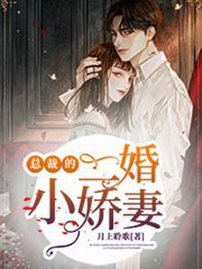 总裁的二婚小娇妻 总裁的二婚小娇妻