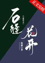 石缝花开 石缝花开