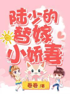 陆少的替嫁小娇妻 陆少的替嫁小娇妻