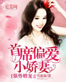 首席偏爱小娇妻