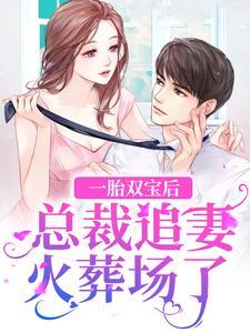 一胎双宝后,总裁追妻火葬场了 一胎双宝后,总裁追妻火葬场了