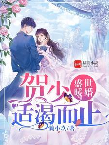 盛世暖婚:贺少,适渴而止 盛世暖婚:贺少,适渴而止