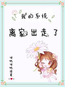 我的系统离家出走了