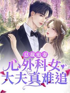 总裁追妻：心外科女大夫真难追