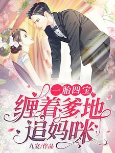 一胎三宝,缠着爹地追妈咪 一胎三宝,缠着爹地追妈咪