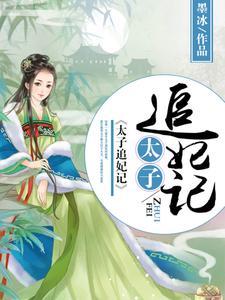 太子追妃记 太子追妃记