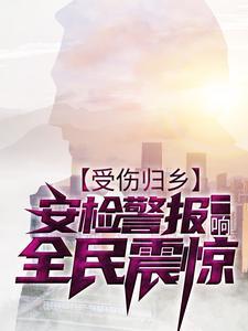 受伤归乡,安检警报一响,全民震惊 受伤归乡,安检警报一响,全民震惊