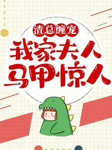 渣总缠宠：我家夫人马甲惊人