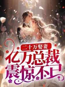 二十万娶妻,亿万总裁震惊不已 二十万娶妻,亿万总裁震惊不已