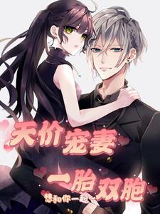 天价宠妻一胎双胞 天价宠妻一胎双胞