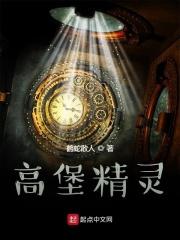 高堡精灵 高堡精灵